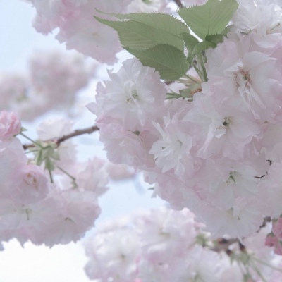 Furry插画光影营造福瑞交流群