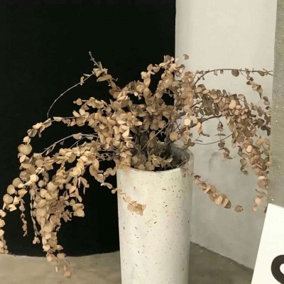 兽设原创构思技巧FurryQQ群